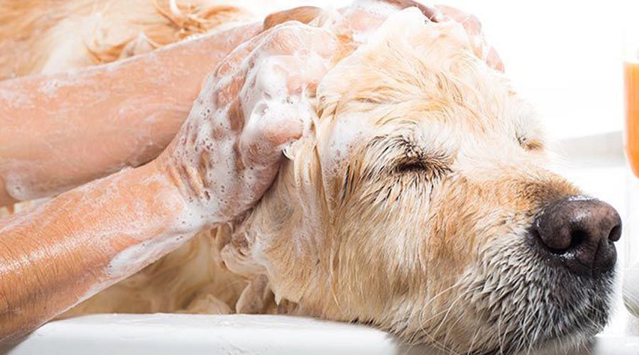 teaserbox_4225474431 copy